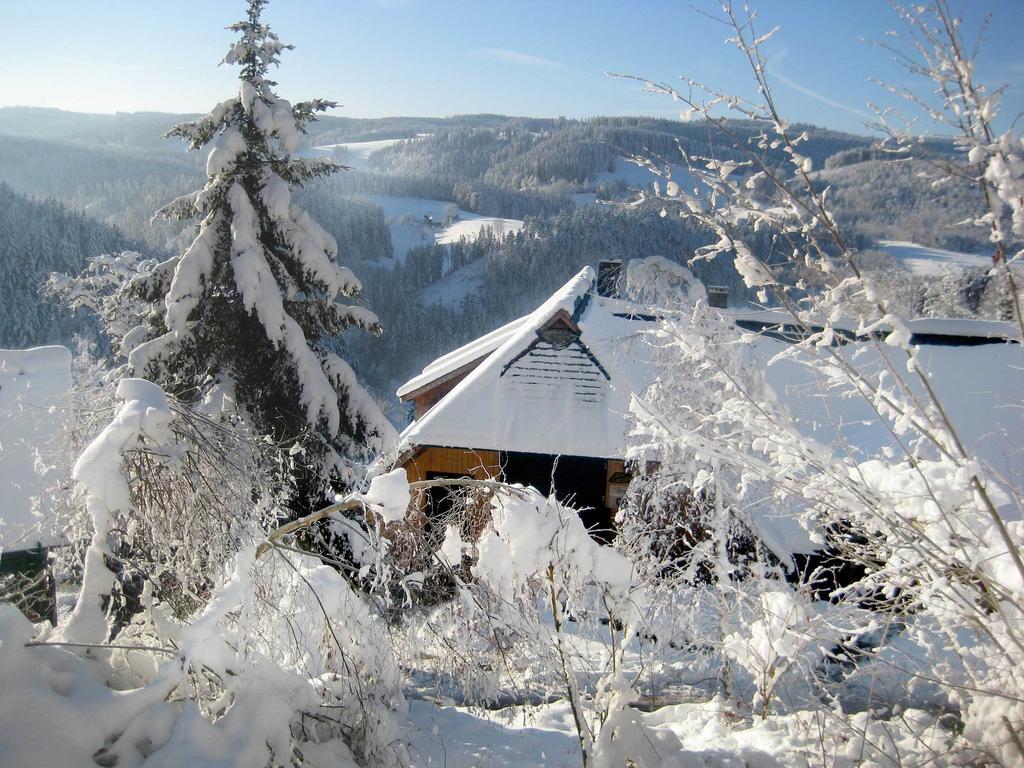 Apartment Ferienwohungen Gibbesbachhof Triberg im Schwarzwald